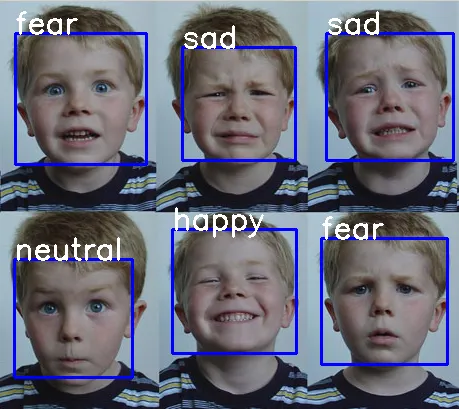 Facial Emotion Expressions